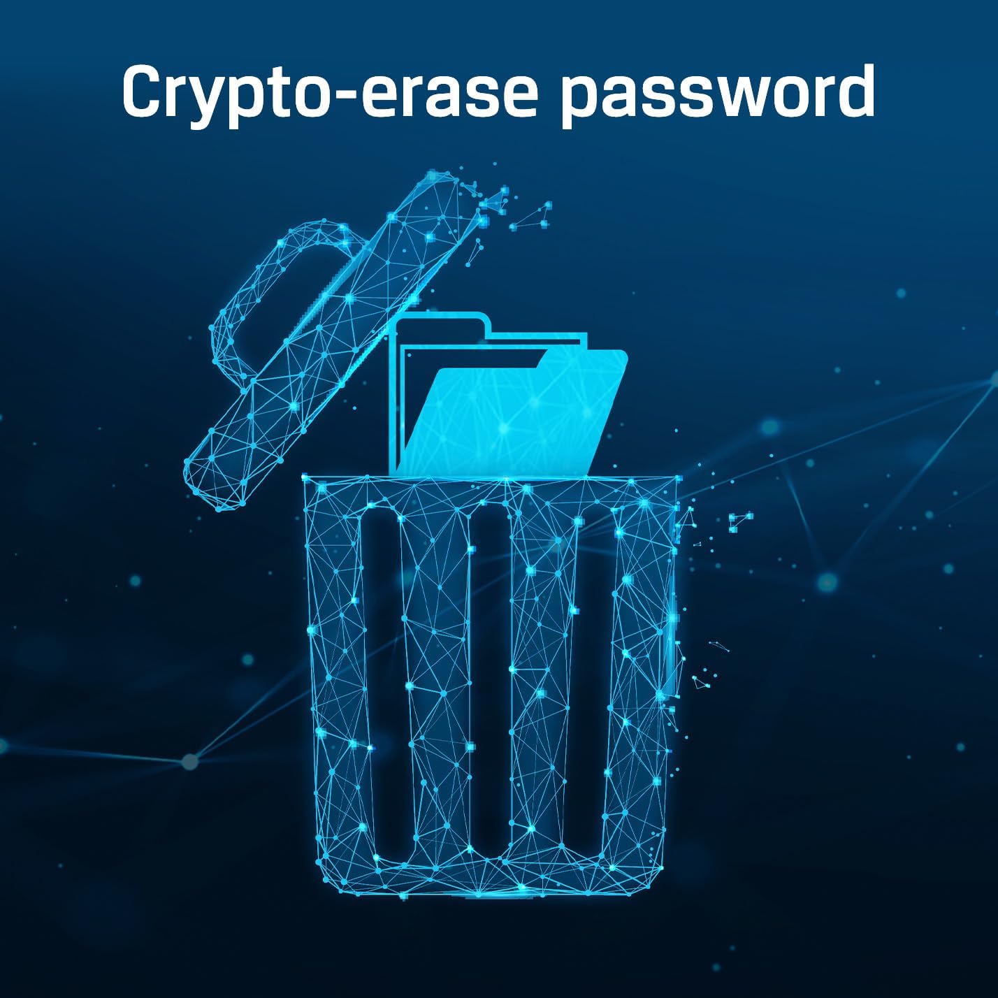 Kingston Ironkey D500S 256GB Encrypted Flash Drive | Dual Hidden Partition | FIPS 140-3 Level 3 | XTS-AES 256-bit | BadUSB and Brute Force Protection | Multi-Pin Option | IKD500S/256GB