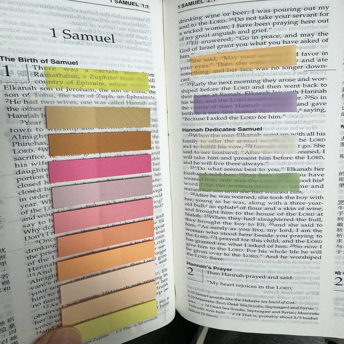 ELII 3600pcs Books Tabs for Annotating Page Markers Morandi Sticky Index Tabs,Transparent Sticky Notes Tabs Label Stickers Index Tabs for Reading Notes, Classify File