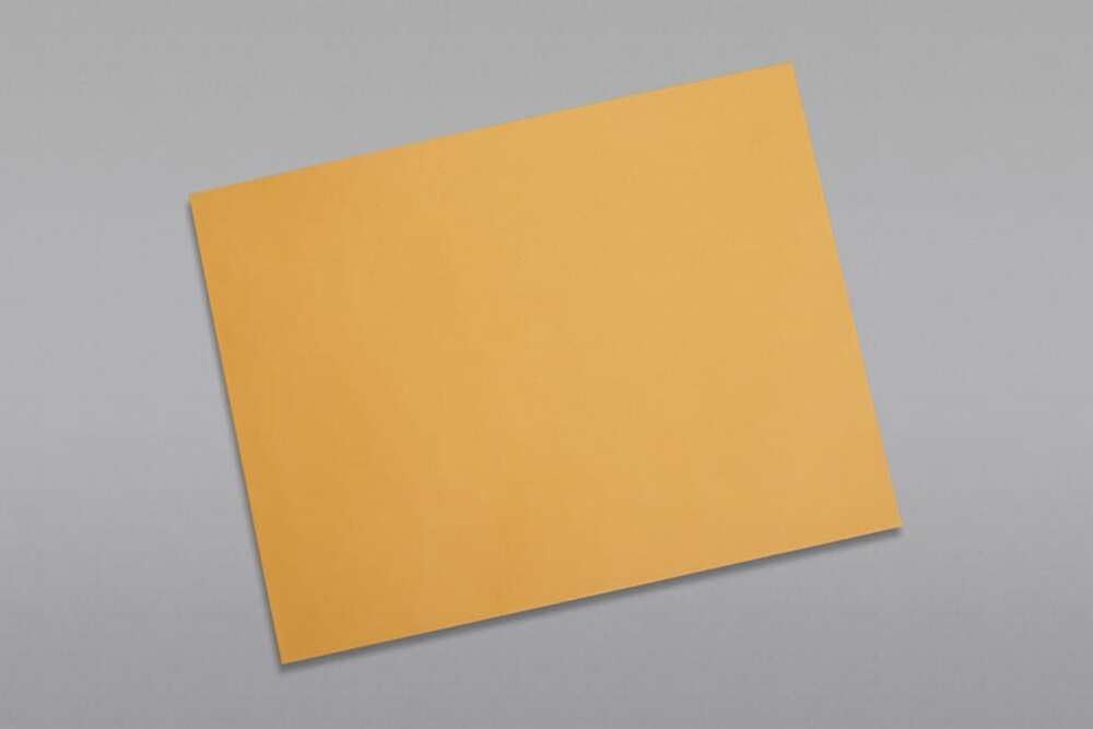 Limited Papers (TM) Booklet Envelopes, (Open Side) Brown Kraft, Gummed Seal, 28 Pound, Heavyweight, For Mailing And More. (50, 10 x 13)