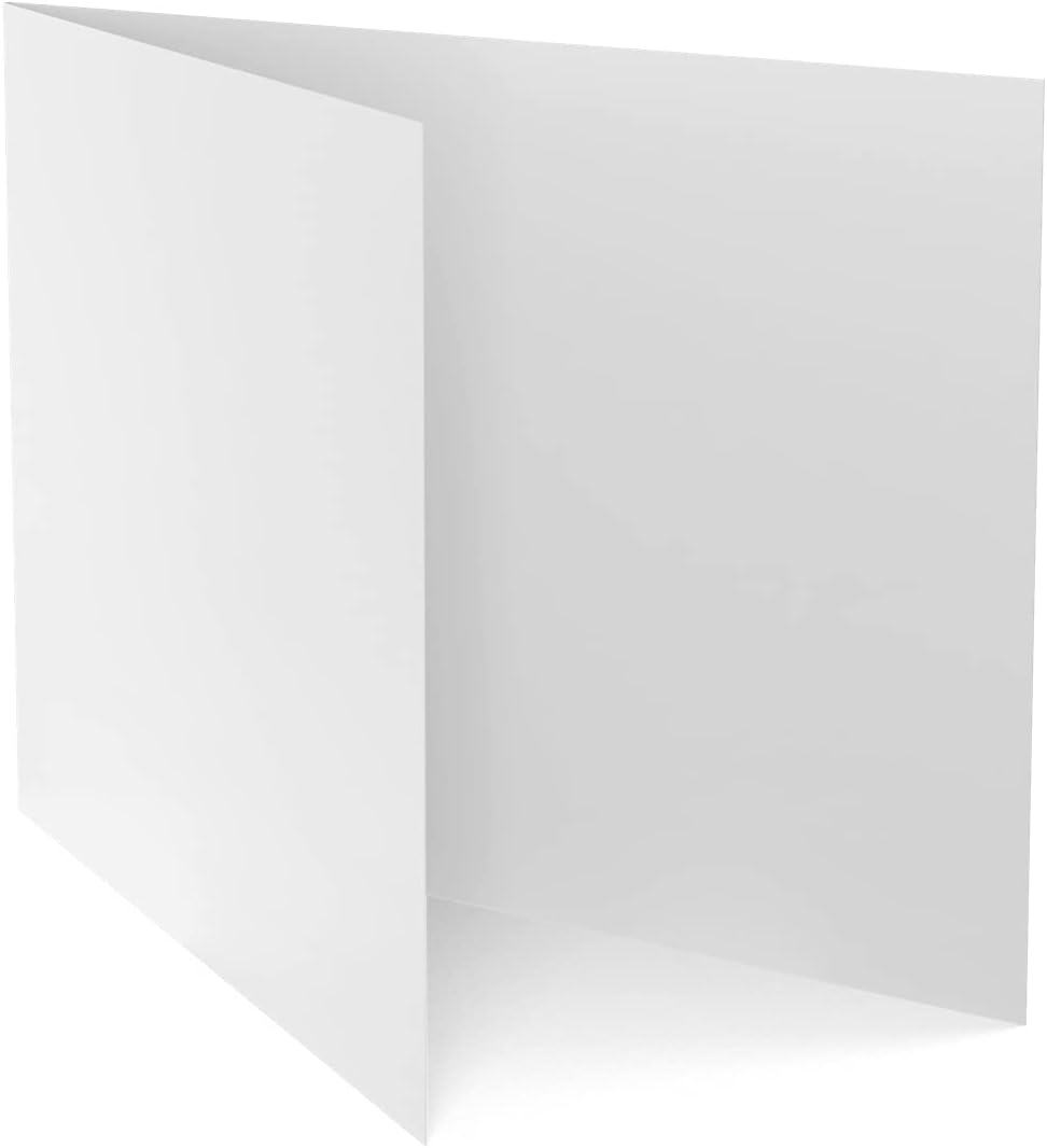 Brainstorm ID ID Card Size Lamination Carriers - 5 Pack (Small)