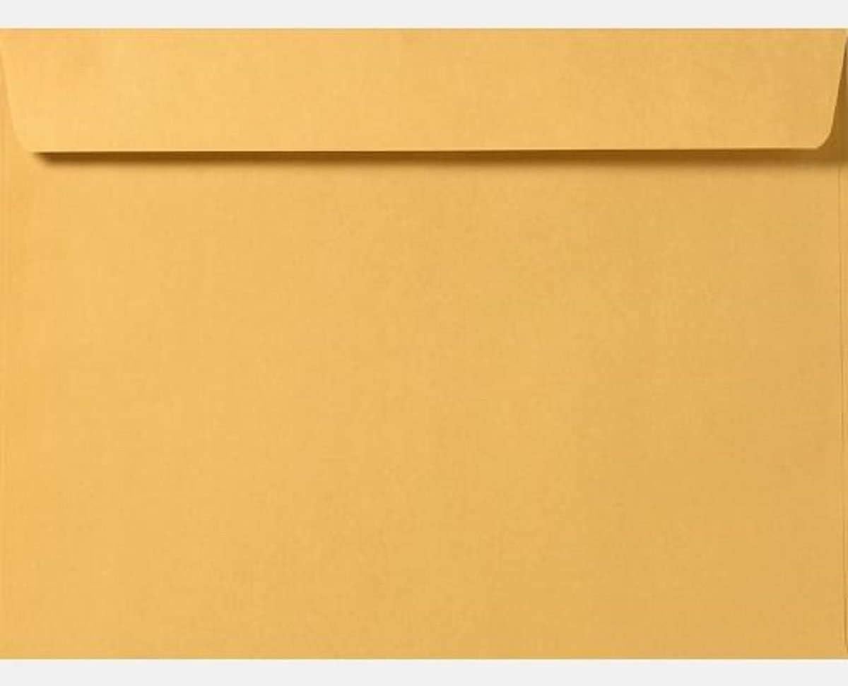 Limited Papers (TM) Booklet Envelopes, (Open Side) Brown Kraft, Gummed Seal, 28 Pound, Heavyweight, For Mailing And More. (250, 9.5 x 12.5)