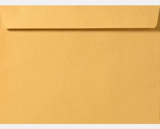 Limited Papers (TM) Booklet Envelopes, (Open Side) Brown Kraft, Gummed Seal, 28 Pound, Heavyweight, For Mailing And More. (250, 6 x 9.5)