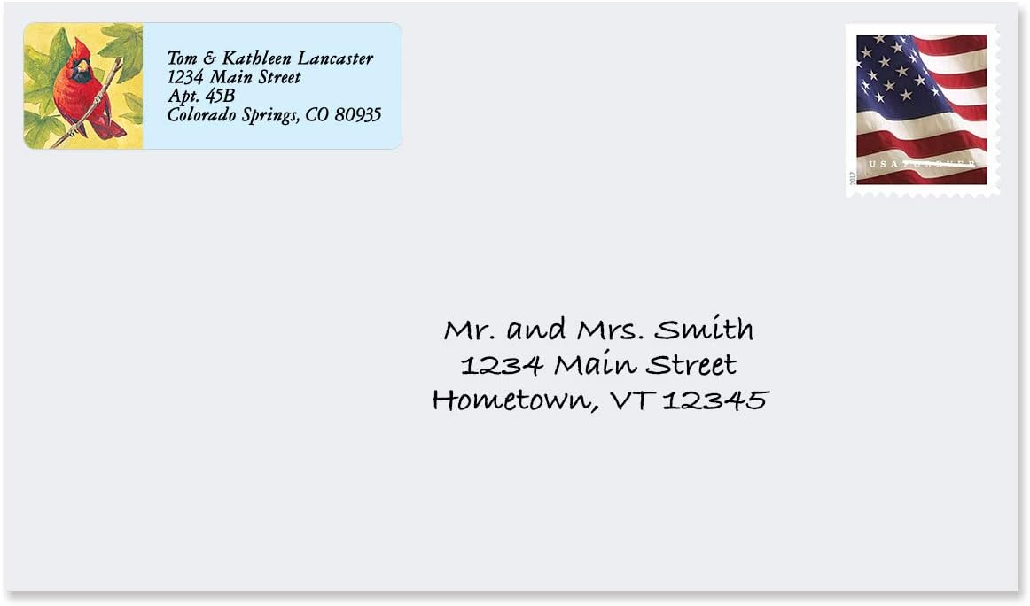 Colorful Images Birds of America Return Address Mailing Labels, Personalize with Name & Addresses, Set of 240 Self Adhesive, Easy Peel Flat Label Sheets, ⅝ inch x 2”, 12 Designs