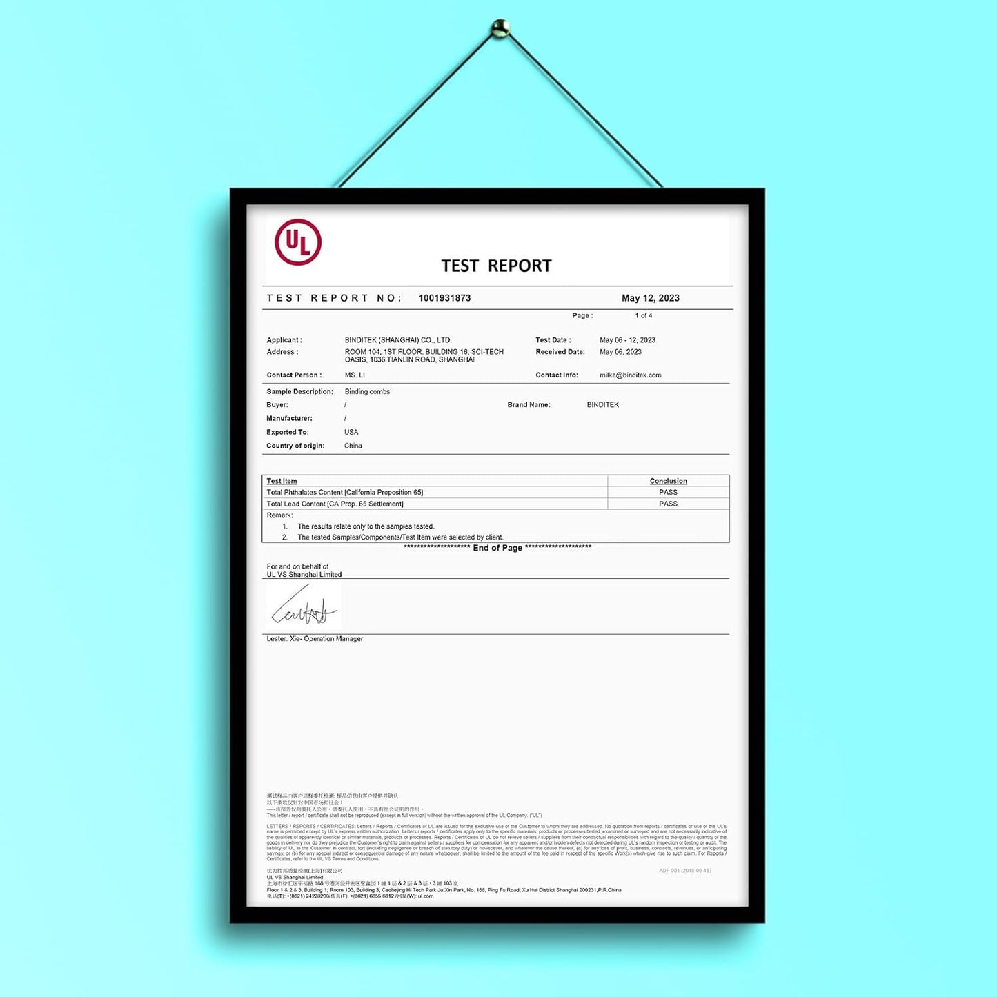 Binditek 10 Pack Plastic Binding Comb Spines, 2 Inch Diameter, 450 Sheet Capacity, 19 Ring, for Letter Size, Black, for Students and Coworkers