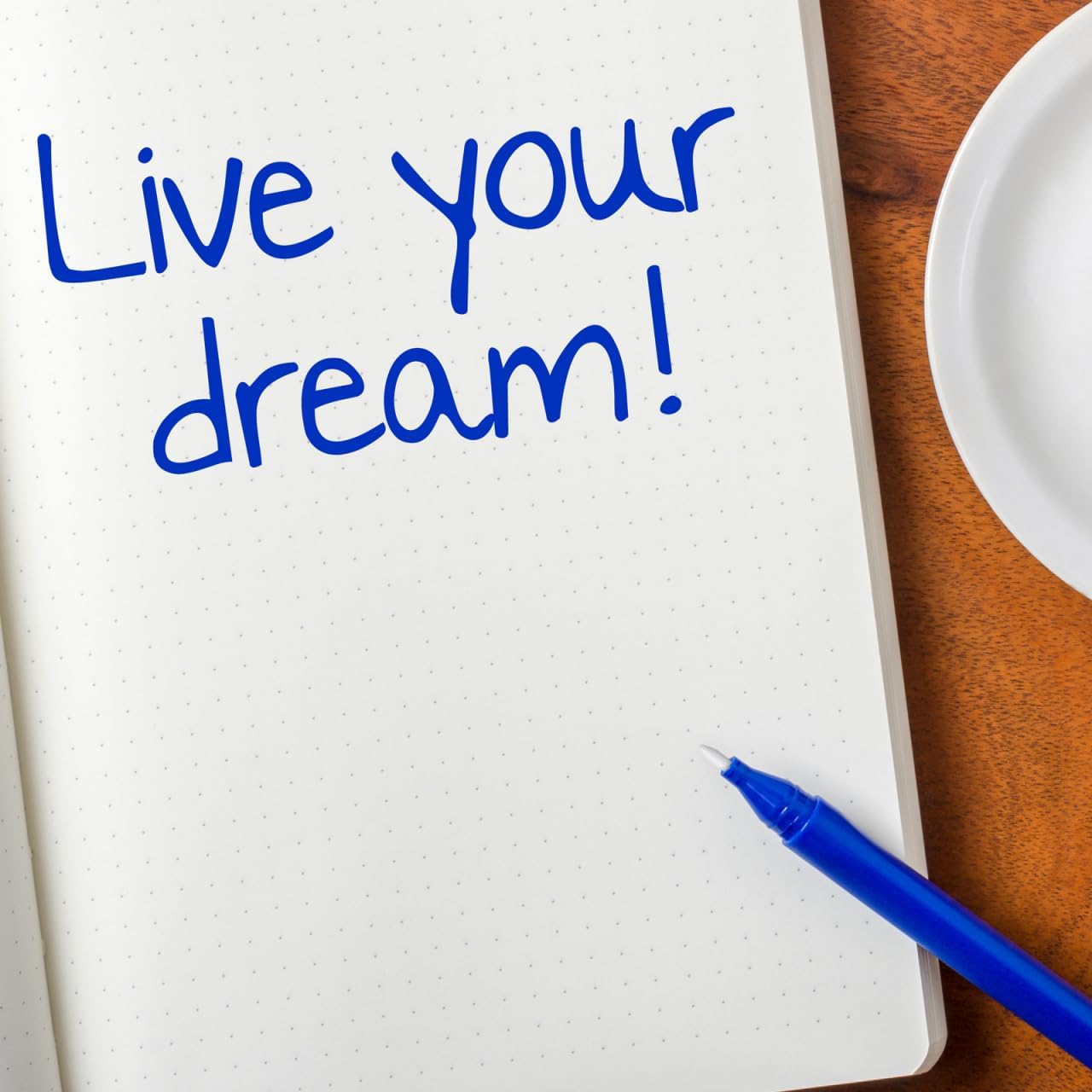 50pcs Acrylic Paint Marker Nibs - 0.7mm Replacement Nylon Tips for Oil Based & Acrylic Markers - Paint Pen Refill Nibs for Artists Art Supplies