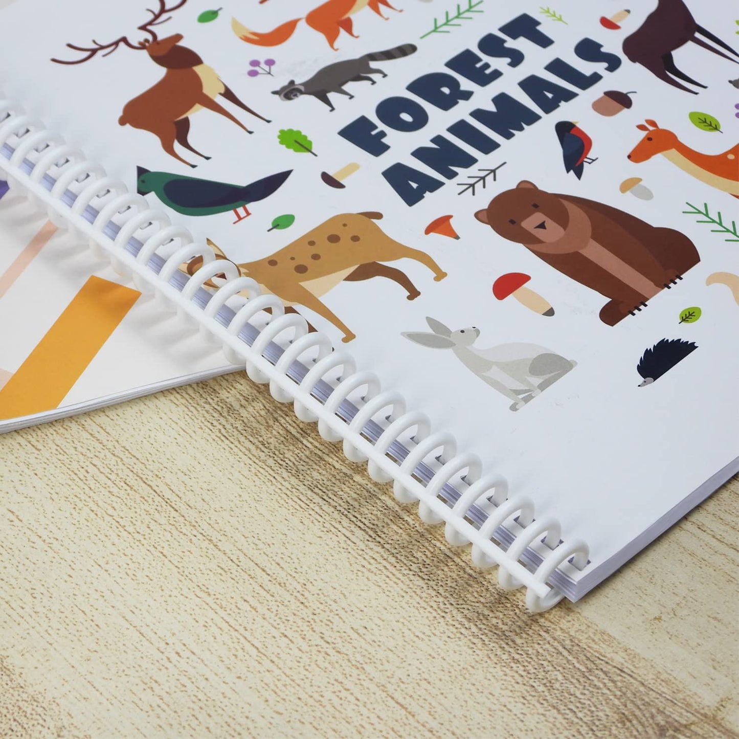 Rayson PT1202 Coil Binding Machine, 3:1 Pitch, 32 Hole Punch for Spiral & Click Binding Spines, Metal Spiral Binder Hole Punch, Punches 12 Sheets at a Time