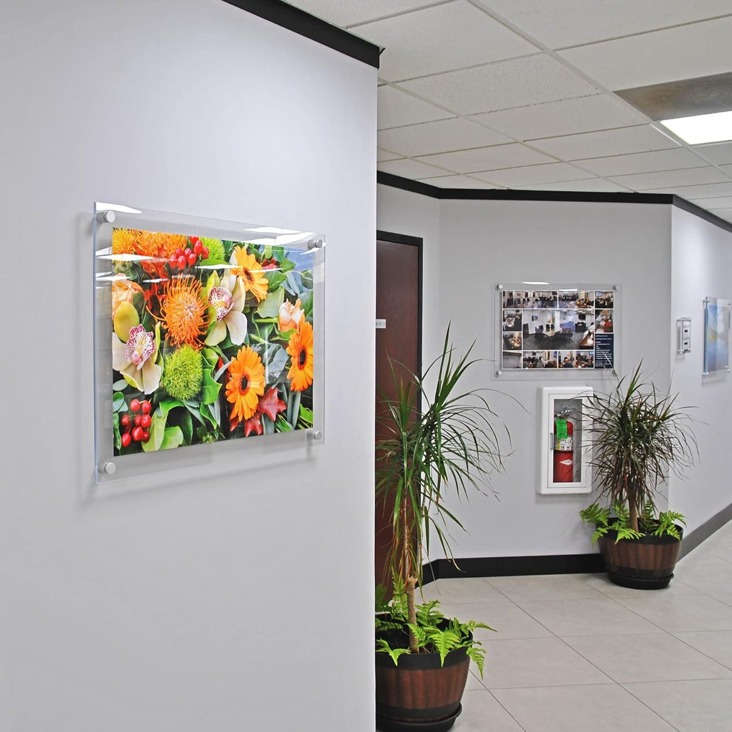 Azar Displays 105530 Floating Acrylic Wall Frame with Silver Stand Off Caps: 22" x 28" Graphic Size. Overall Frame Size: 26" x 32", Silver