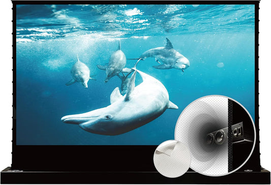 VIVIDSTORM-4K Movie Projector Screen S 120 Inch Sound Transparent Perforated Floor Rising White Fabric 4k HD Ready Home/Movie Theatre Work with Normal Throw Projector, VSDSTPW120H