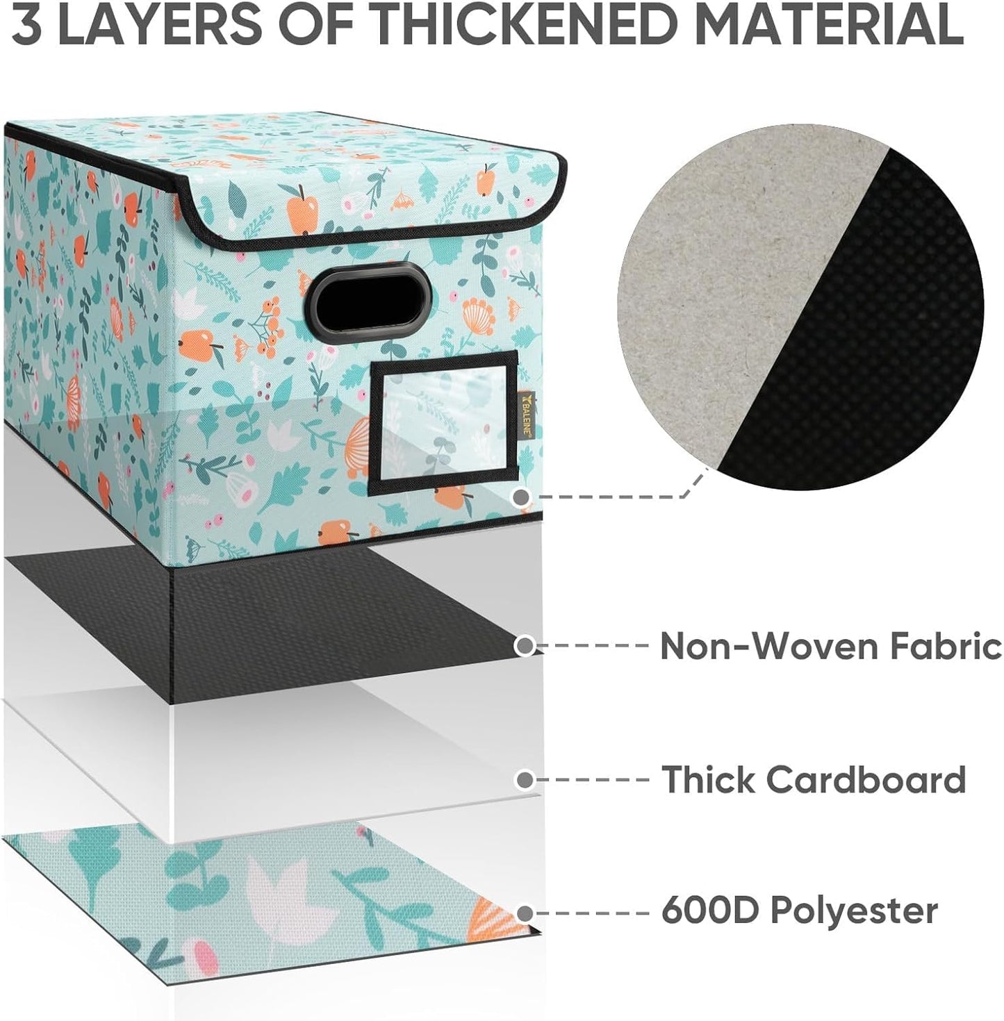 BALEINE File Organizer Box with Lid, Collapsible File Folder Organizer with Plastic Slide, Hanging File Folder Box for Office Document Storage (1 Pack, Spring Stroll)