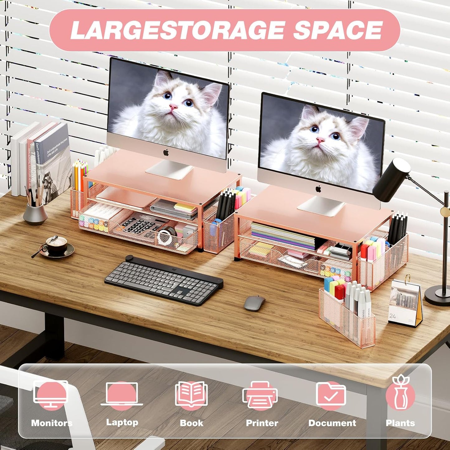 Desk Organizers and Accessories, 2-Tier Computer Monitor Stand with Drawer and 2 Pen Holders, Laptop Stand, Office Desk Accessories for Office Supplies, Rose Gold