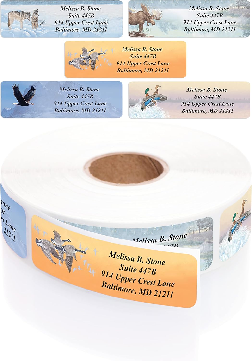 in The Wild Assorted Designer Name & Address Labels with Elegant Plastic Dispenser